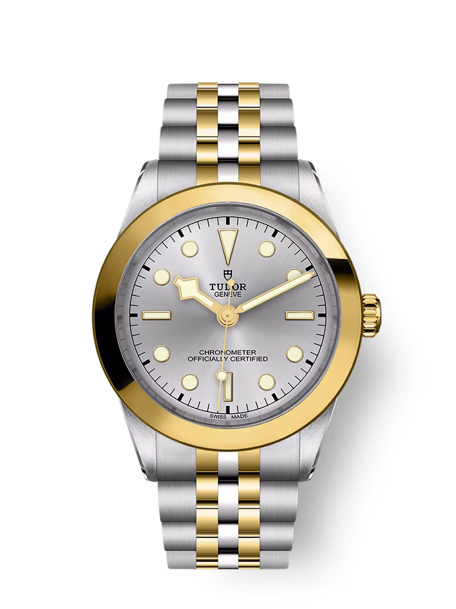 Tudor Black Bay 39 S&G