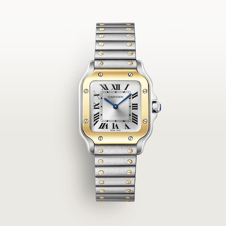 Cartier Santos de Cartier watch