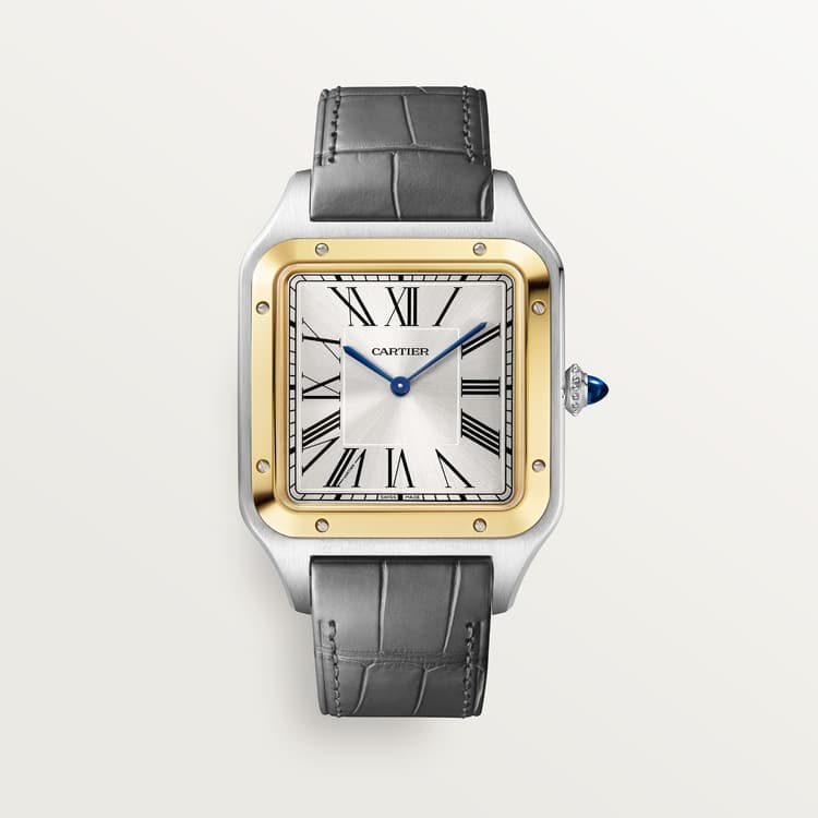 Cartier Santos-Dumont watch