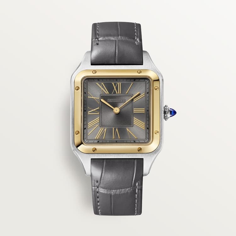 Cartier Santos-Dumont watch