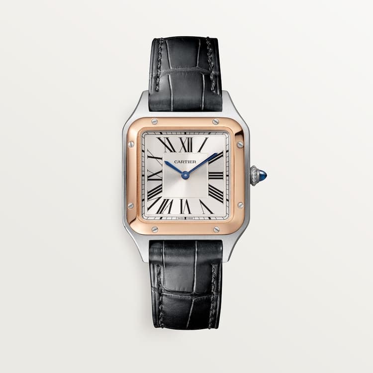 Cartier Santos-Dumont watch