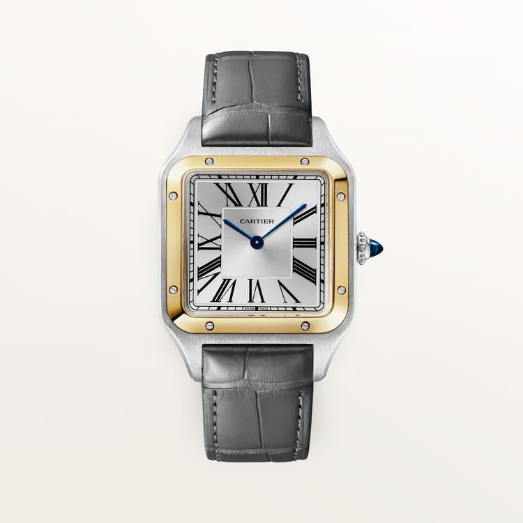 Cartier Santos-Dumont watch