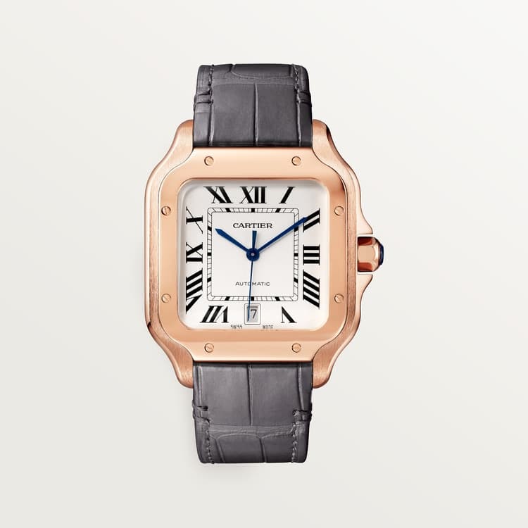 Cartier Santos de Cartier watch