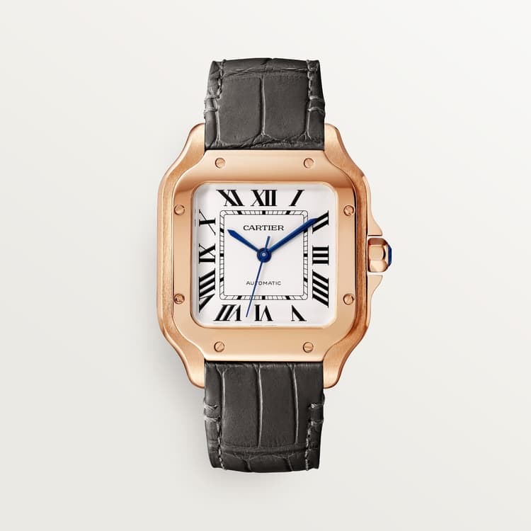 Cartier Santos de Cartier watch