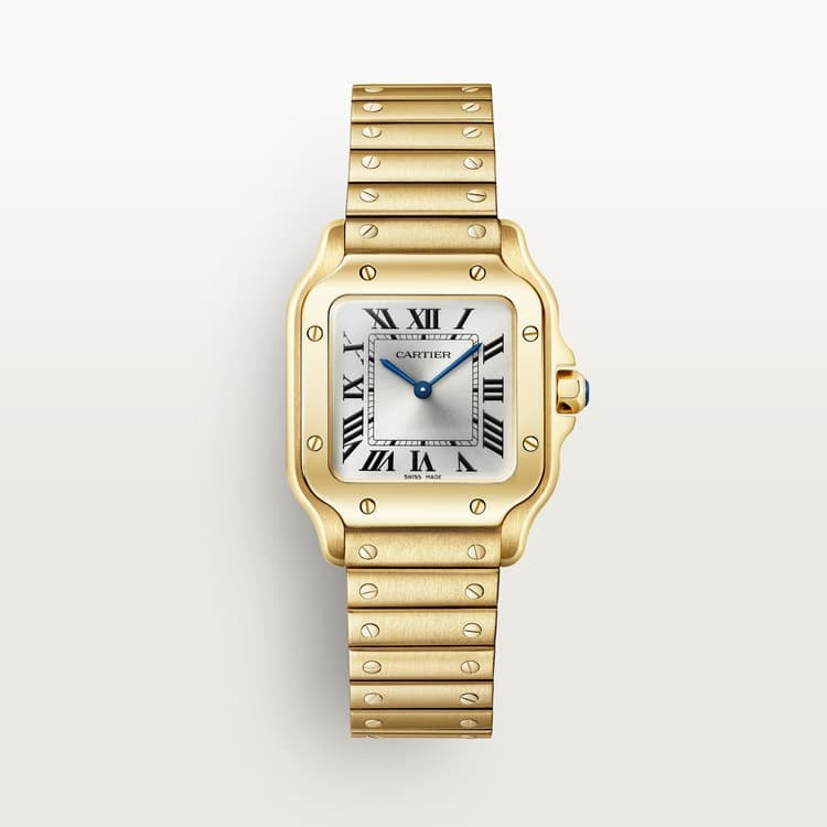 Cartier Santos de Cartier watch