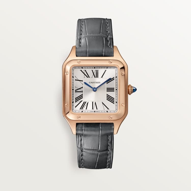 Cartier Santos-Dumont watch