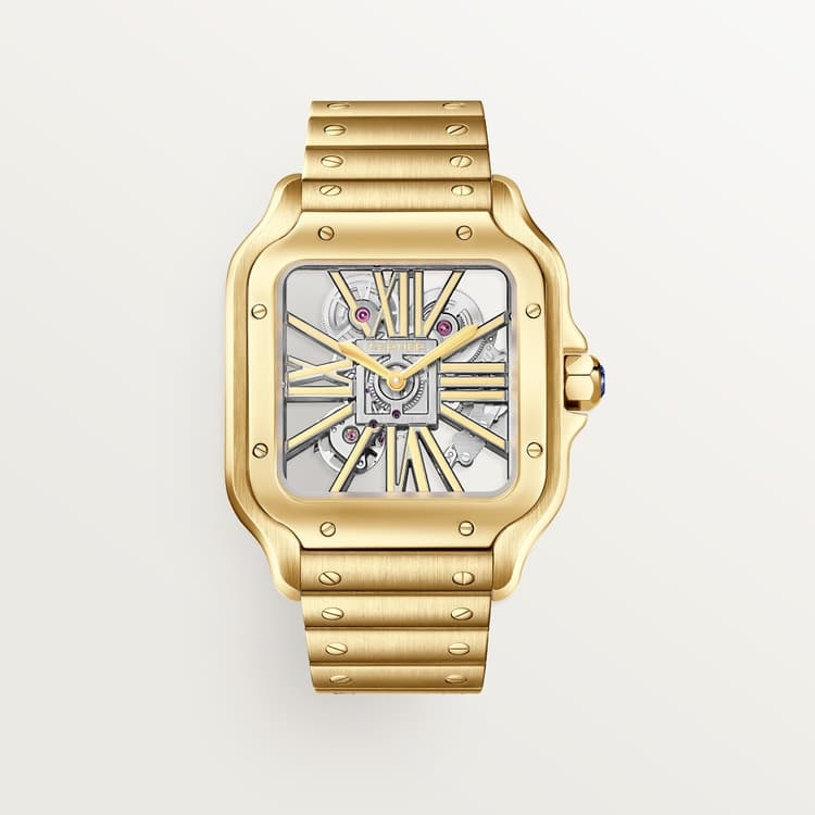 Cartier Santos de Cartier watch