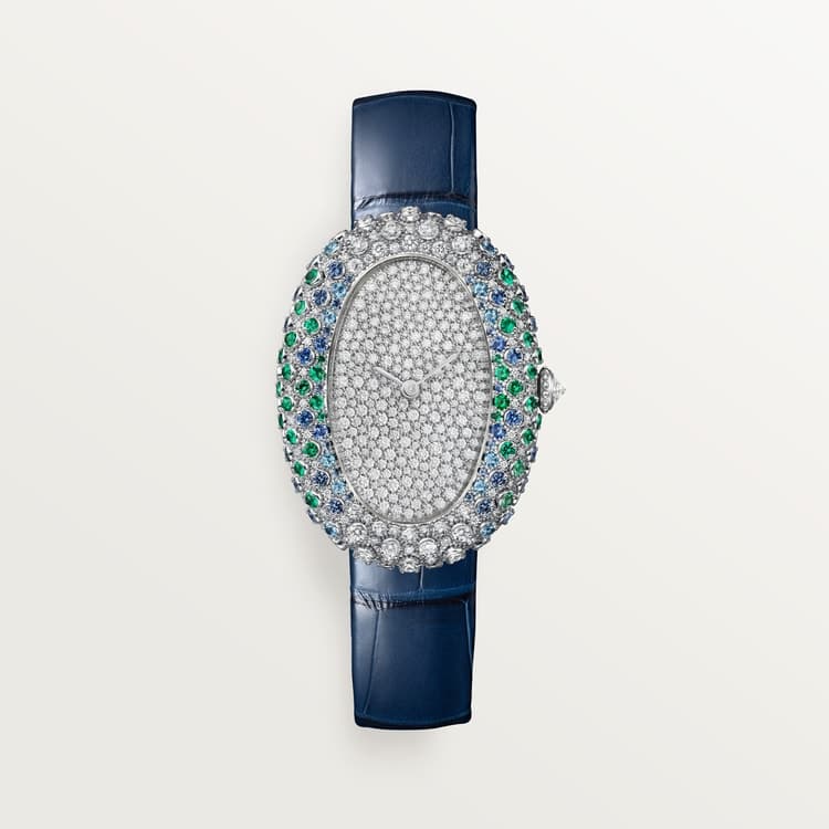 Cartier Baignoire watch