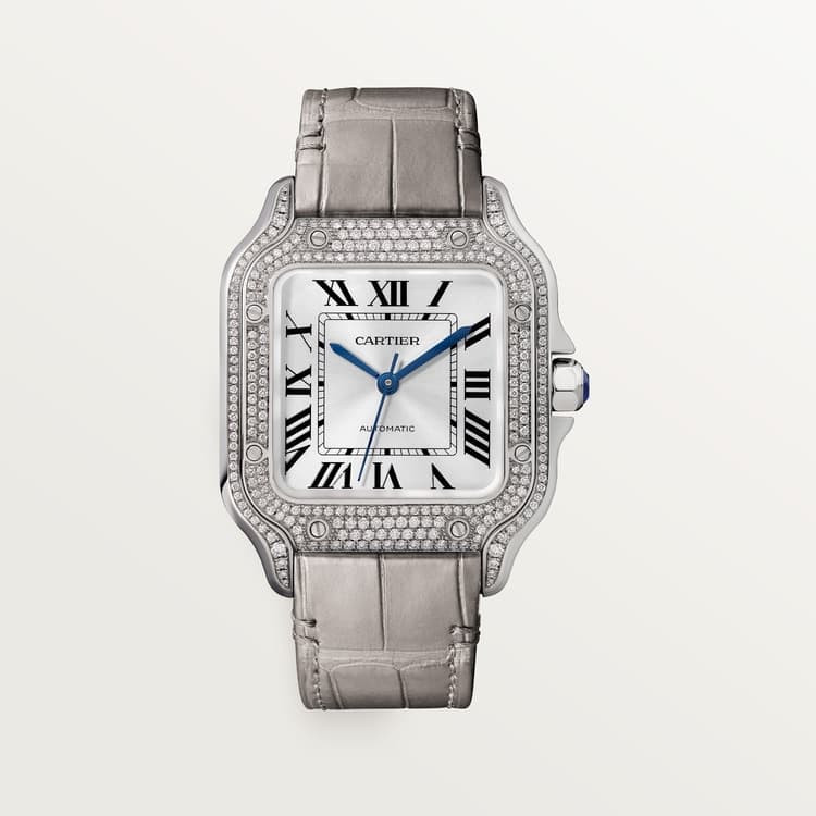 Cartier Santos de Cartier watch