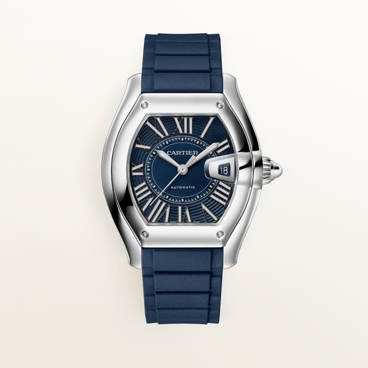 Cartier Roadster watch