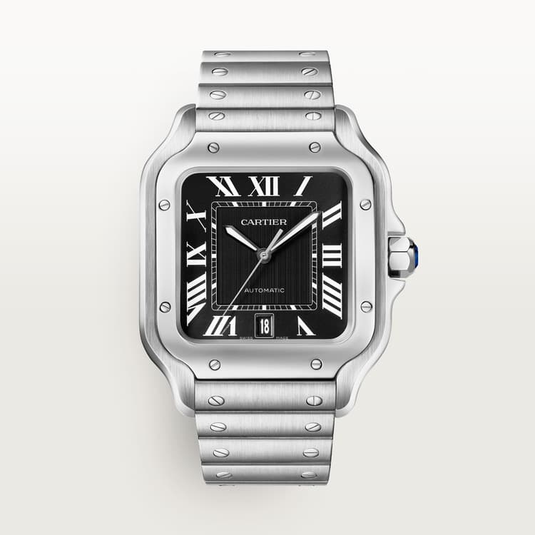 Cartier Santos de Cartier watch